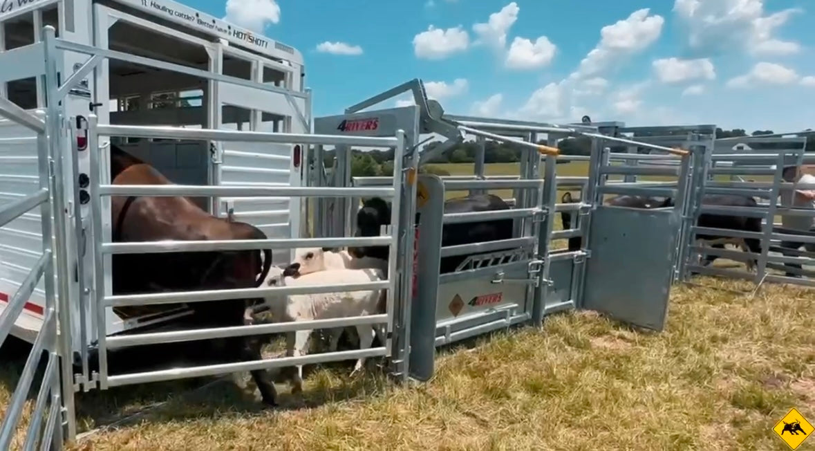 4R20 Cattle Corral
