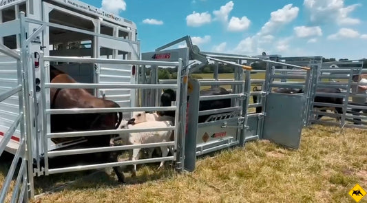 4R20 Cattle Corral